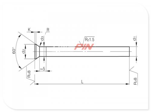 Poinçons de precision rondes DIN 9861 Form DA - WS