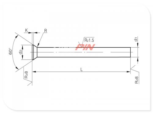 Präzisions Lochstempel DIN 9861 Form D - HSS