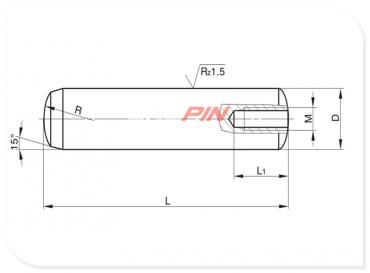 Precision dowel pins with tapped hole DIN 7979