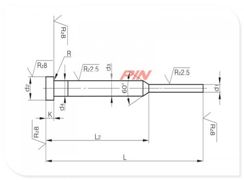 Nitrided ejector pins form C DIN ISO 8694 C